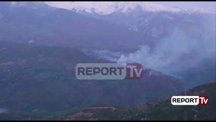 Report TV - Zjarr në Zall Dardhë, Tiranë