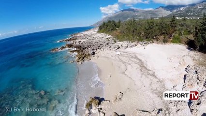 Report TV - Tjetërsimi i pronave, nisin hetimet për Alket Hysenin