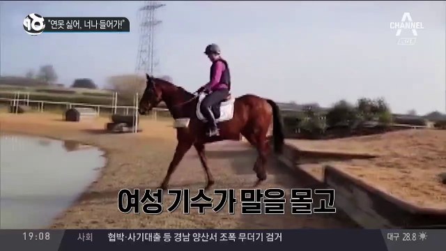“연못 싫어, 너나 들어가!”