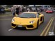 Lamborghini Parade: Aventador Roadsters, Miuras, and everything between!