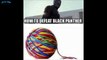 Funniest Black Panther Jokes & Memes That Will Make You Laugh 