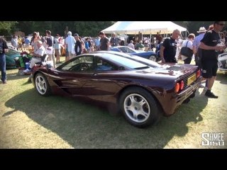 FOS Style et Luxe - McLaren F1, Veyron, 250 LM, 250 California, 911 GT1 etc