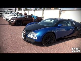 Dubai Grand Parade Paddock Tour - 3 Veyrons, Dubai Police Cars