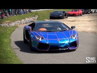 Brooklands Auto Italia Parade 2014 - F40, Oakley Aventador
