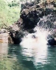 Cooling down at Kaalital - Riverside Ramganga, Uttarakhand -Wildrift