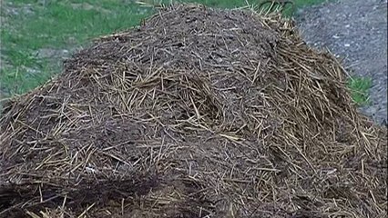 Kosto e lartë e fermerëve  - Top Channel Albania - News - Lajme