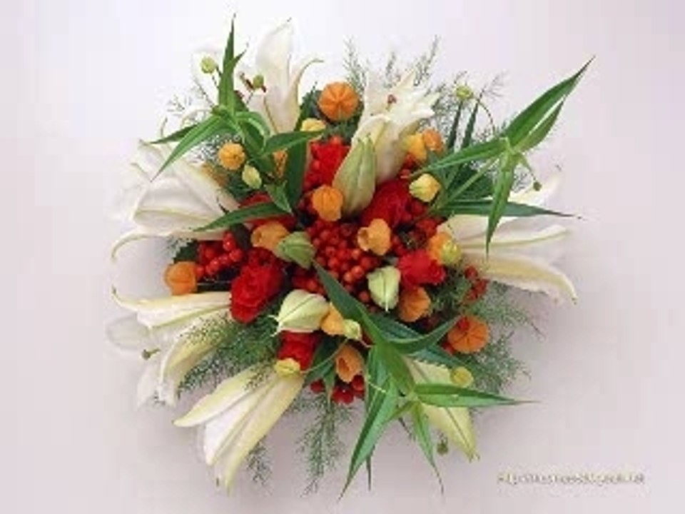 Video Julio Iglesias - Un jour tu ris un jour tu pleures !