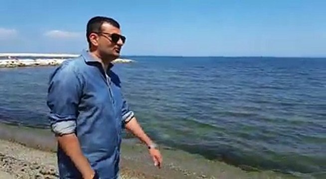 Sindaci e medici pugliesi coraggiosi contro Unione Europea: no ai pesticidi sui nostri ulivi, tuteliamo ambiente e salute