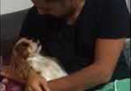 Cute Dog Likes a Cuddle but Loves Her Personal Space