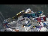 Enzima që “ha” plastikë; Zbulohet bakteri që asgjëson mbetjet - Top Channel Albania - News - Lajme