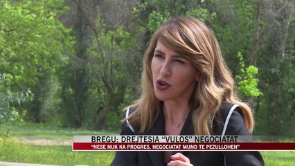 Bregu: “Drejtësia “vulos” negociatat - News, Lajme - Vizion Plus