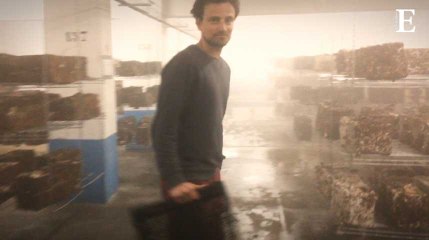 Paris : sous les pavés, poussent des légumes