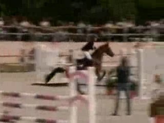 Des poneys d'exception