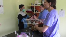 Report TV - Vlorë, 15 veterinerë amerikanë vijnë të kurojnë kafshët në Shqipëri