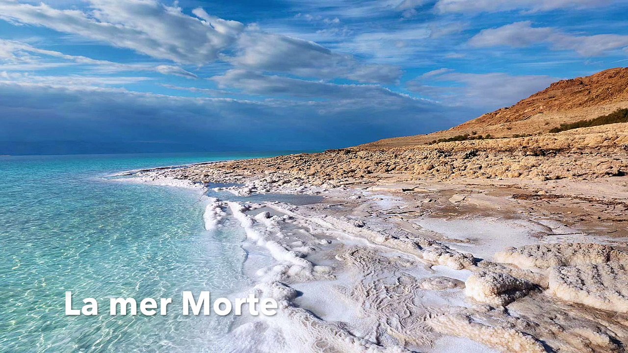 Dansez les JIJ2018 UNSS AEFEE Lycée français d'Amman - Amman - JORDANIE