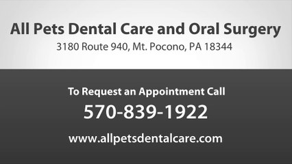 Welcome to All Pets Dental Care & Oral Surgery