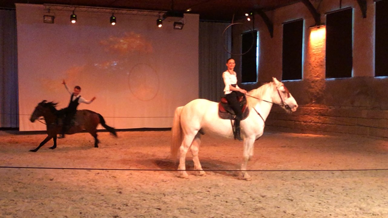 Chevaux et artistes sur la piste