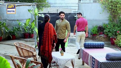 Zindaan - Ep 22 - 18th June 2017 - ARY Digital Drama