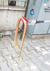 Vatandaşlar Yılan Sanıp Öldürmek İstedi, Oluklu Kertenkele Son Anda Kurtarıldı