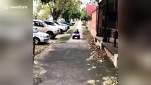 Adorable little girl takes dog on a road trip