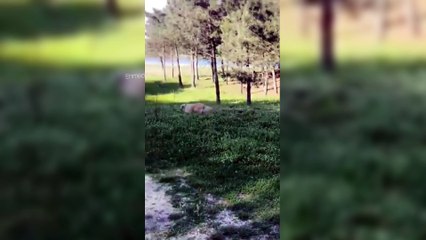 Selin Ciğerci Bahçesinde Sevgilisi İle Çok Eğlendi! | Selin Ciğerci'nin İnstagram Hikayesi