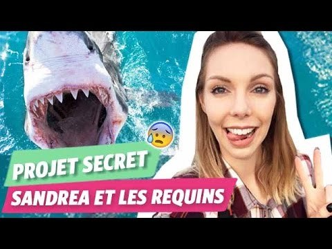 Sandrea plonge avec des requins blancs !