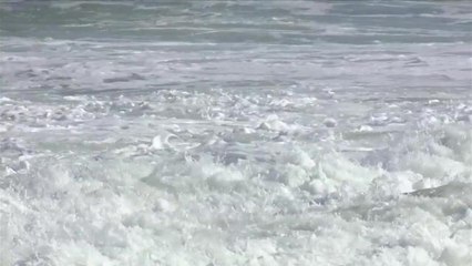 Adrénaline - Surf : Oi Rio Pro, Men's Championship Tour - Round 2 heat 1