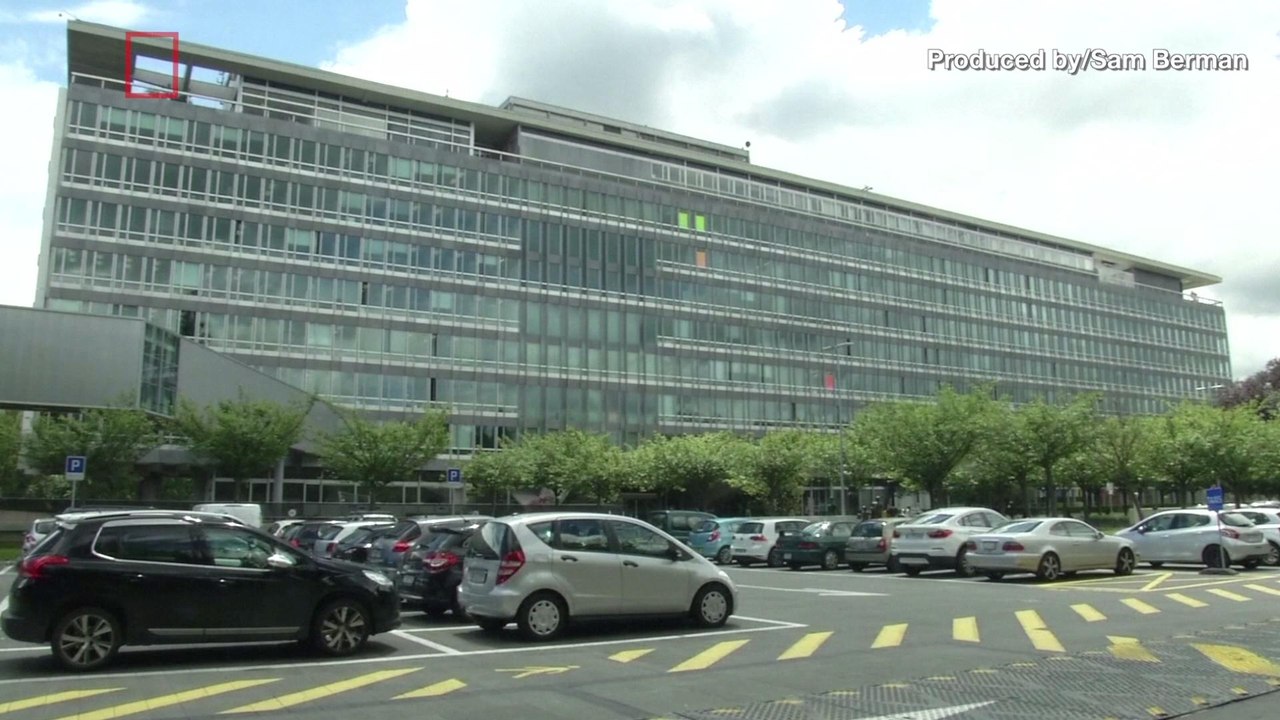 WHO Calls For Elimination of Trans Fat in Foods by 2023