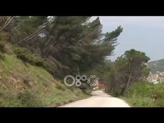 Ora News - Berat, dëmtohet kurora e gjelbër, vidhet ndriçimi i rrugës