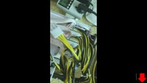 ASIC Miner Mining Litecoin LTC Antminer L3 scrypt шахтер Litcoin АСИК майнинга Лайткоин майнер