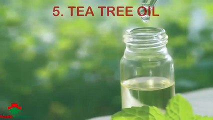 How to Get Rid of Head Lice Permanently | Top 10 Remedies