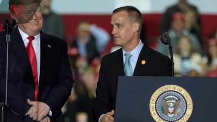 Report: Corey Lewandowski Back on the Campaign Trail with VP Pence's Team