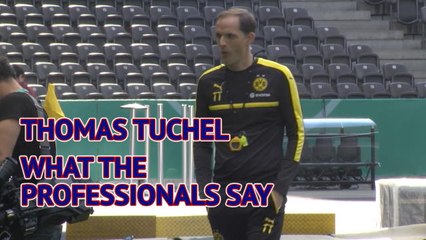 Thomas Tuchel - what the professionals say