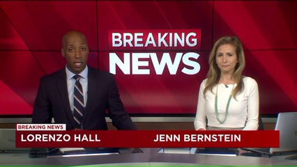 First Lady Melania Trump Undergoes Kidney Surgery