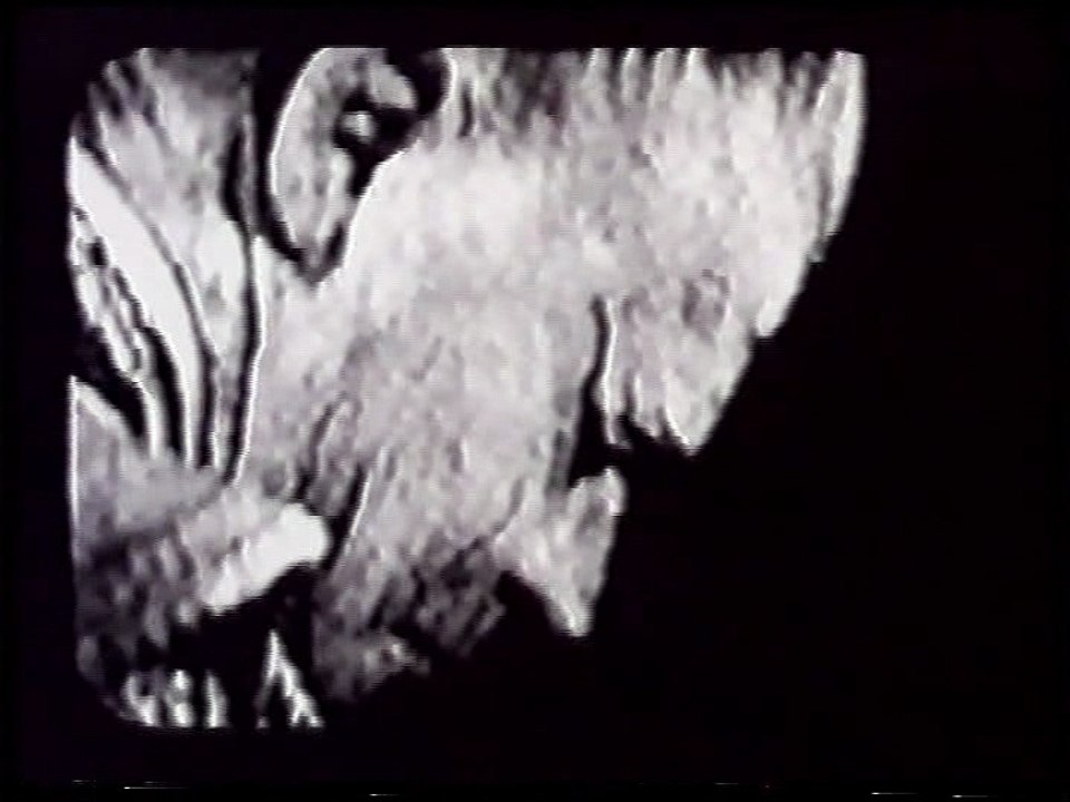 Abominable - Develyn Franks Cranford 10
