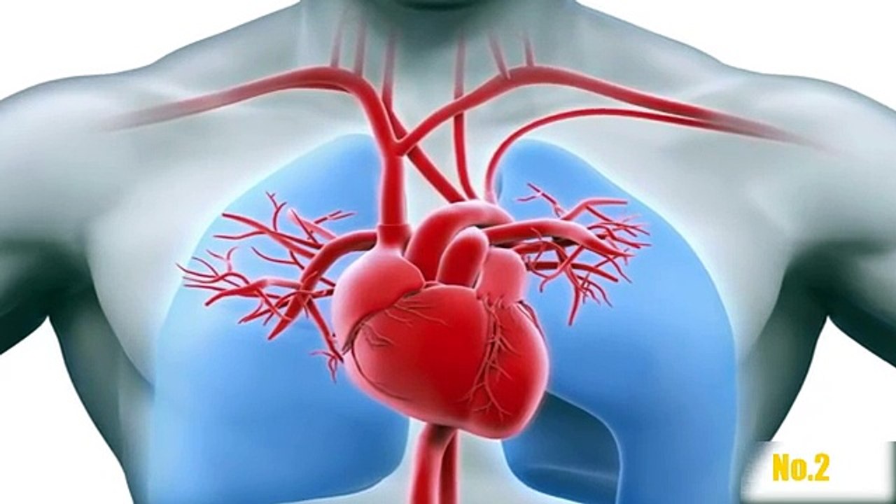 6 Cosas De Tu Cuerpo Que No Sabias