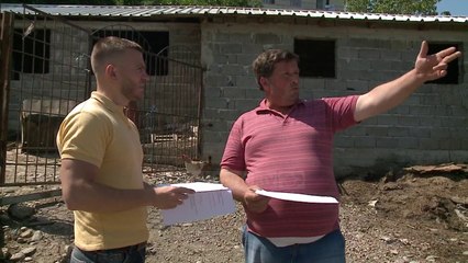100 lopë të vjedhura; Prokuroria mbyll hetimet - Top Channel Albania - News - Lajme