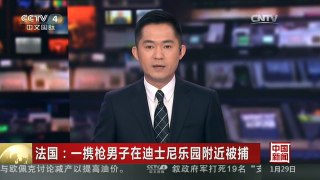 [中国新闻]法国：一携枪男子在迪士尼乐园附近被捕