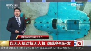 [中国新闻]以无人机对抗无人机 朝韩争相研发