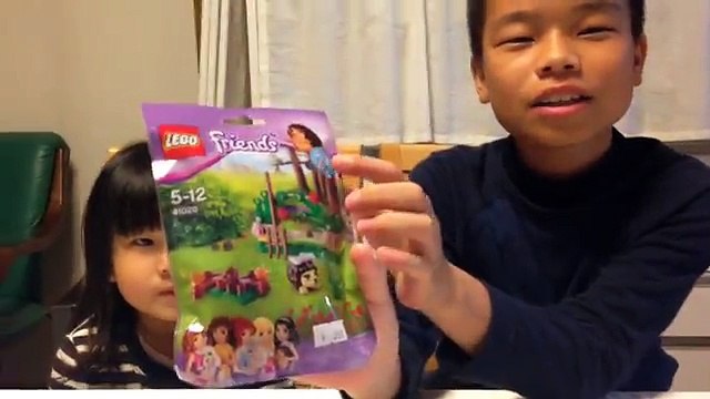 レゴ フレンズ ハリネズミ　たいきとふれあ LEGO friends 41020