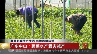 [中国新闻]寒潮影响生产生活 各地积极应对