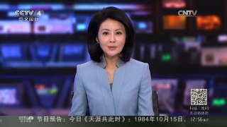 [中国新闻]微缩城堡 价值850万美元