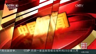 [中国新闻]意大利威尼斯狂欢节开幕