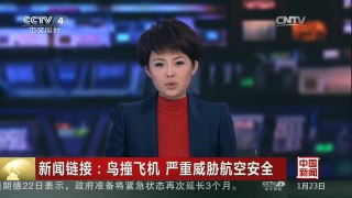 [中国新闻]新闻链接：鸟撞飞机 严重威胁航空安全
