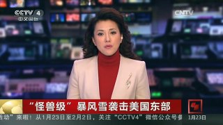 [中国新闻]“怪兽级”暴风雪袭击美国东部 英媒：已有8人死于暴风雪导致
