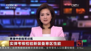 [中国新闻]寒潮中的陆军训练 实弹考核检验新装备寒区性能