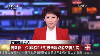 [中国新闻]打击极端组织 奥朗德：法国将加大对极端组织的空袭力度