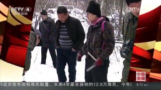 [中国新闻]黑龙江：穆棱林区首次拍摄到野生东北虎珍贵影像