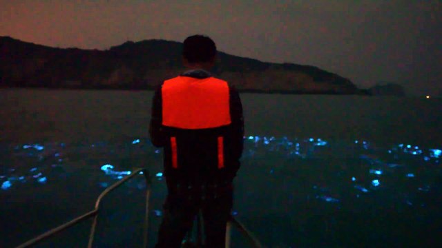Il assiste à un phénomène naturel merveilleux en mer : des lumières bleues apparaissent comme par magie