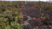 Les dégats causés par une éruption volcanique et le passage de lave en fusion -  Leilani Estates, Hawaii
